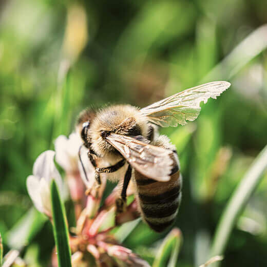 environmental-non-profit-02