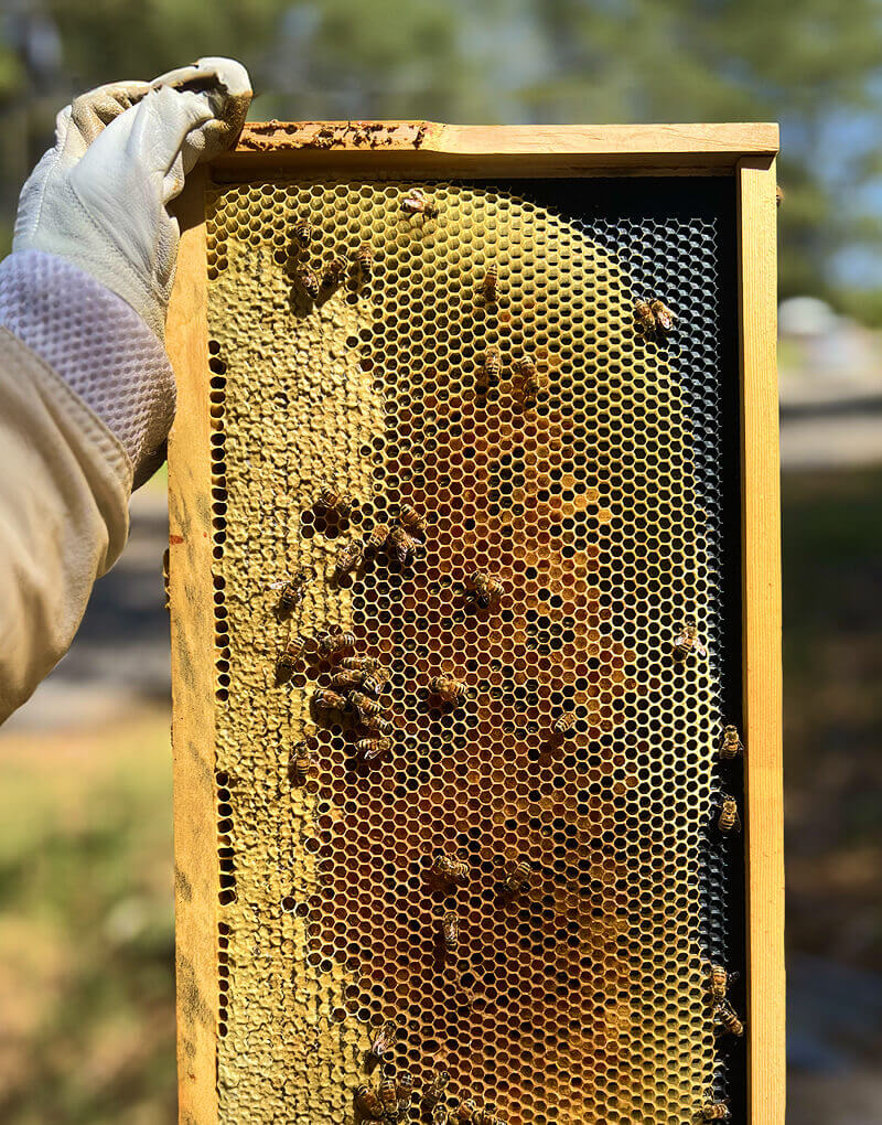 environmental-non-profit-03